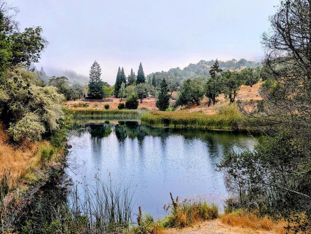 Phoenix Lake in the early morning mist