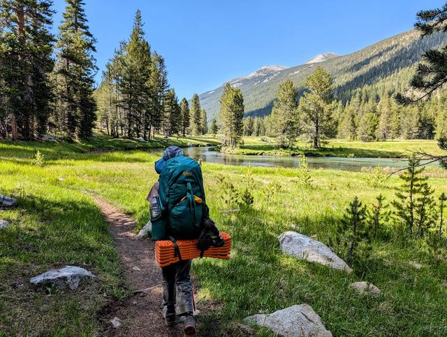 Walking through Lyell Canyon