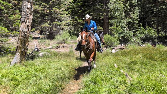 Our resupply at Junction Meadow