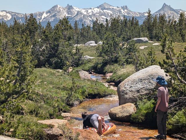 Nature's playground: perfect for exploration and fun